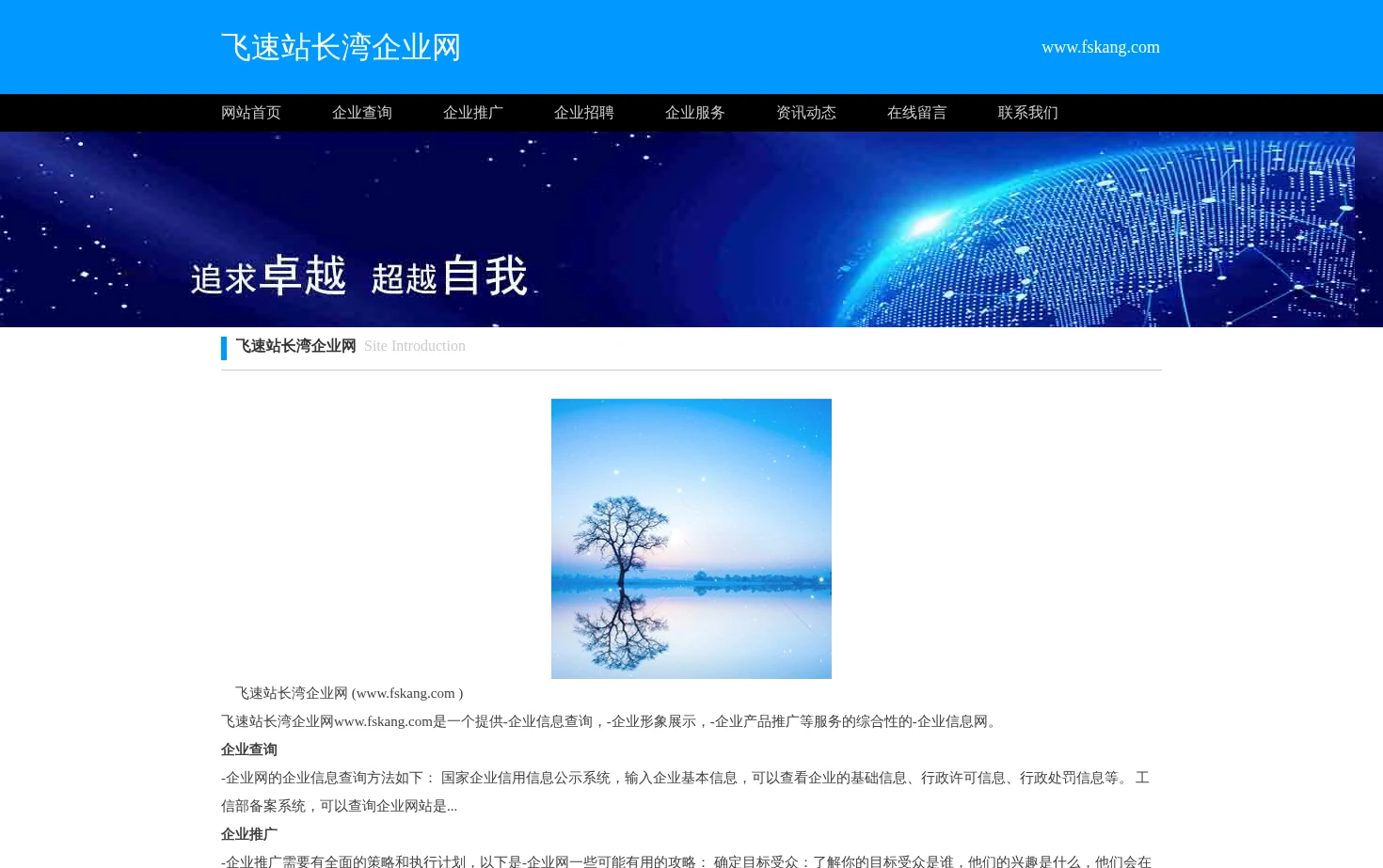 飞速站长湾企业网 页面快照